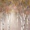 Sunlit Birch I Poster Print by Carol Robinson - Item # VARPDX19506